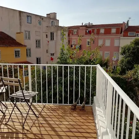 Apartment Apartamento Real - A Estrear